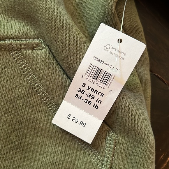 Gap hooded sweatshirt NWT 3T - Picture 3 of 5